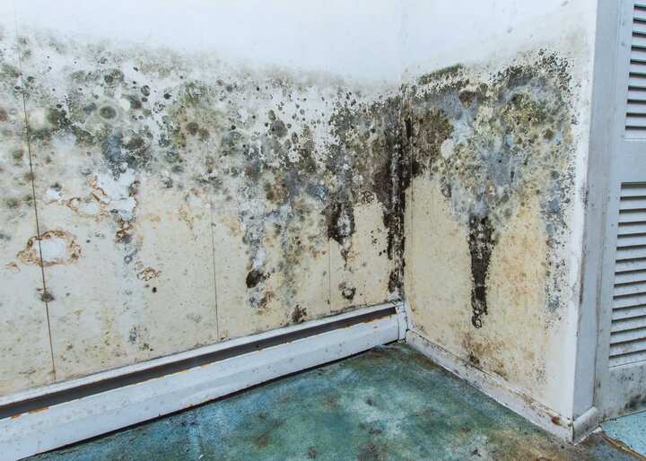 water damage to walls and floor causing mold in Lawrence, MA